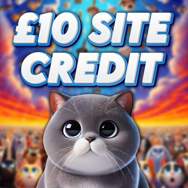 British Shorthair - £10 Site Credit - 1 Point