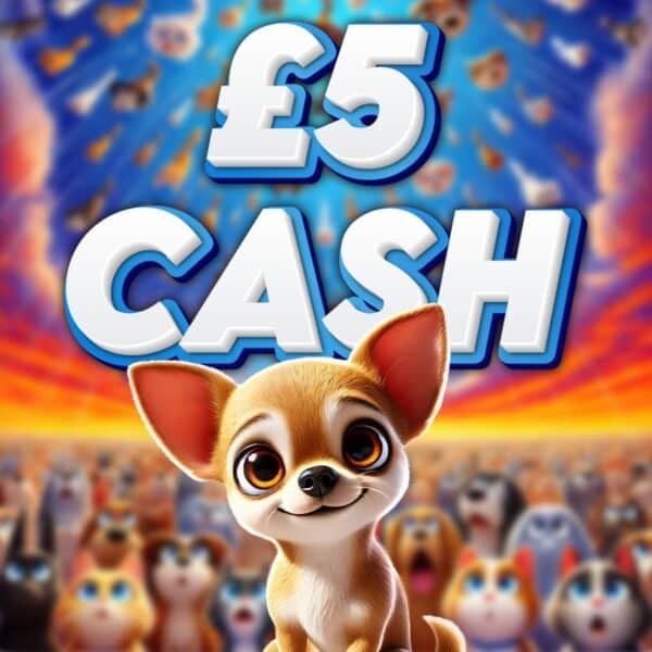 Chihuahua - £5 Cash - 1 Point